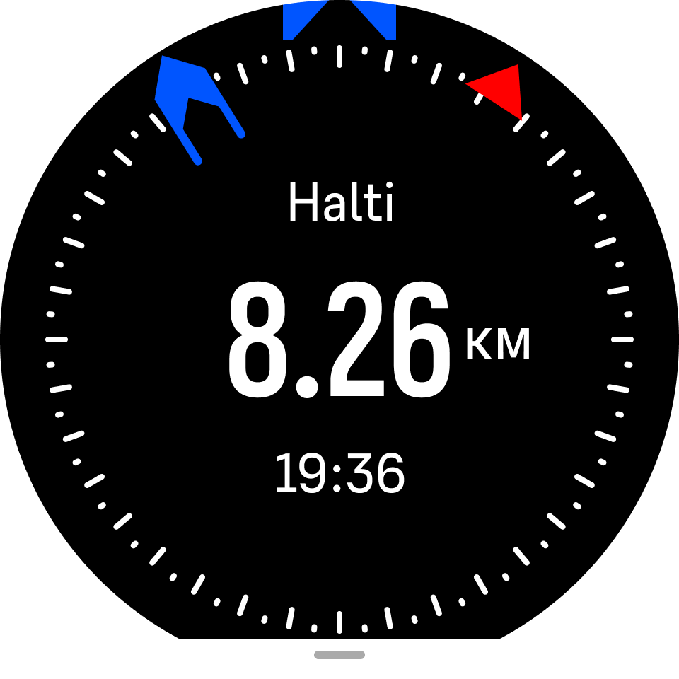 Представление с подробными данными интересующего пункта S9PP