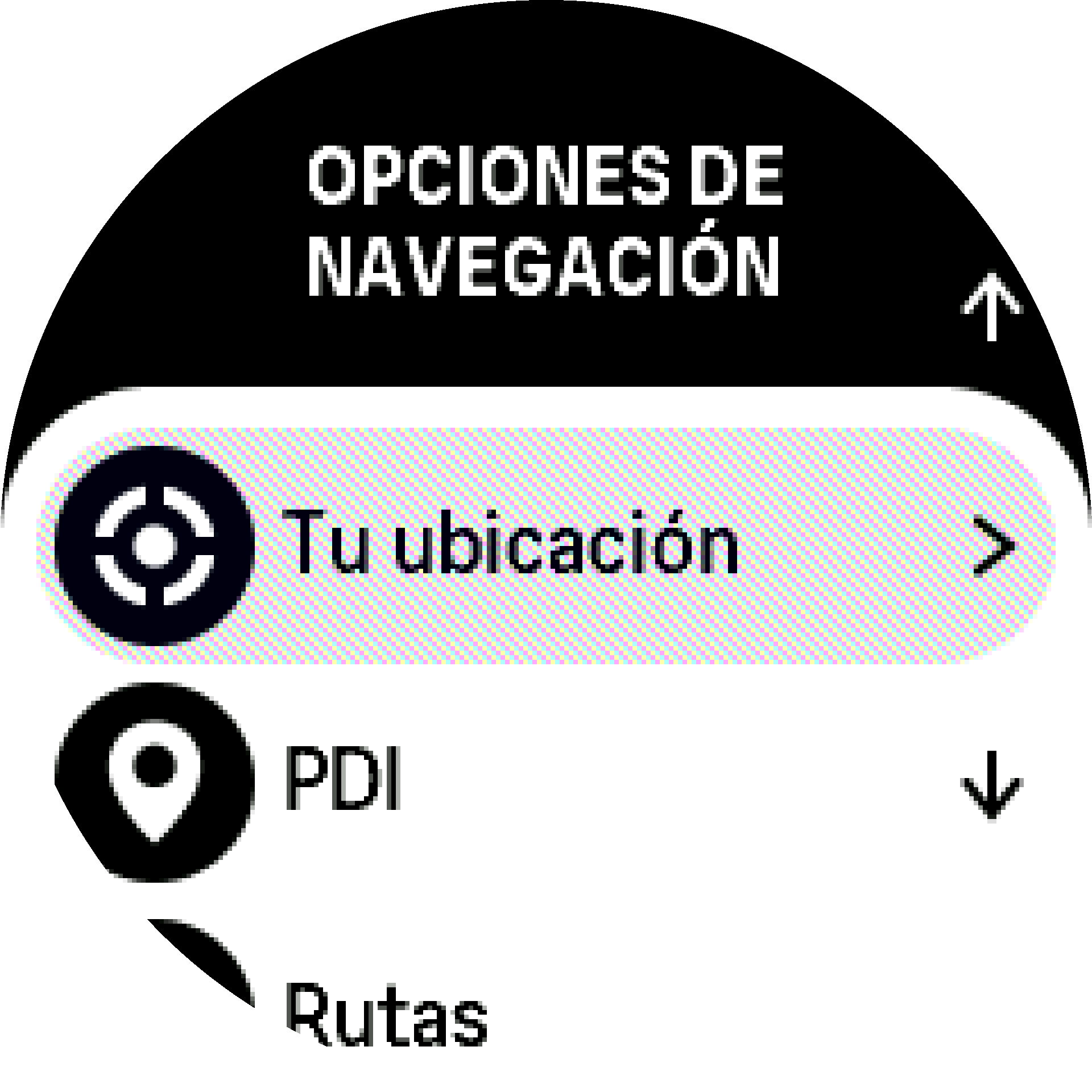 Opciones de navegación S9PP