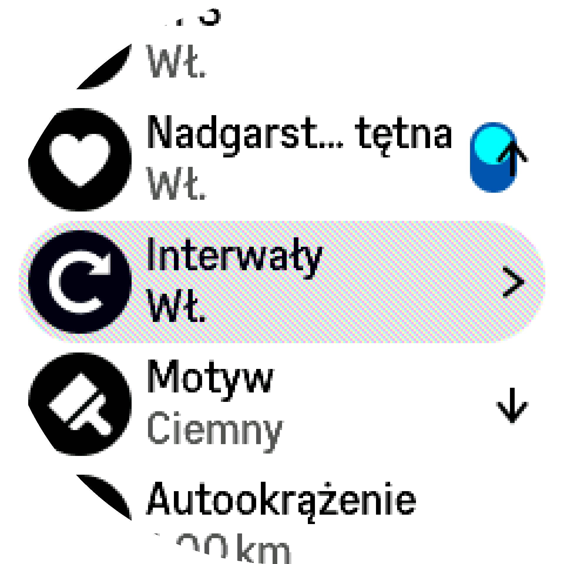 Interval training settings S9PP