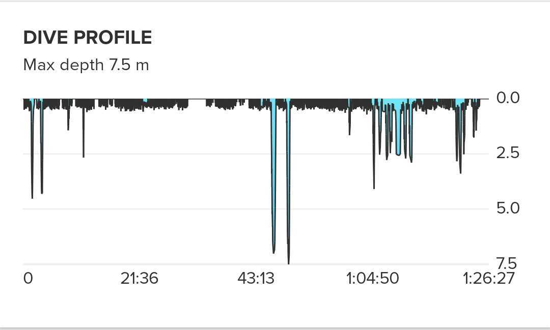 Dive profile 3.jpg